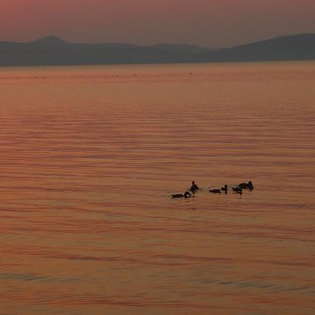 Balatonboglár Aranyhid Hotel מראה חיצוני תמונה